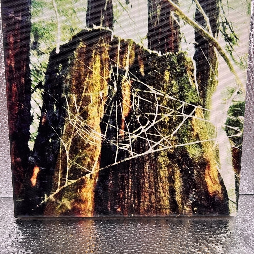 These canvas prints are so special! 8 x 8 and size great for gifting!